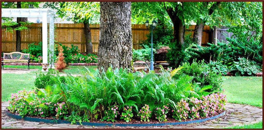 Hayes House Bed And Breakfast Muskogee Exteriör bild